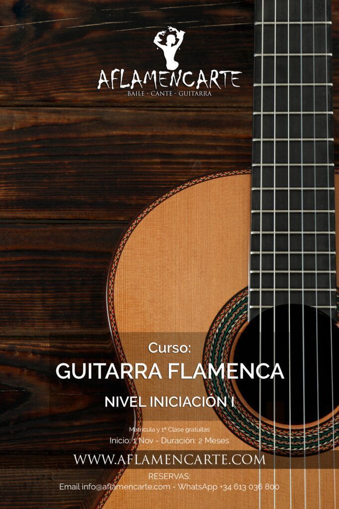 Guitarra flamenca: Nivel Iniciación I